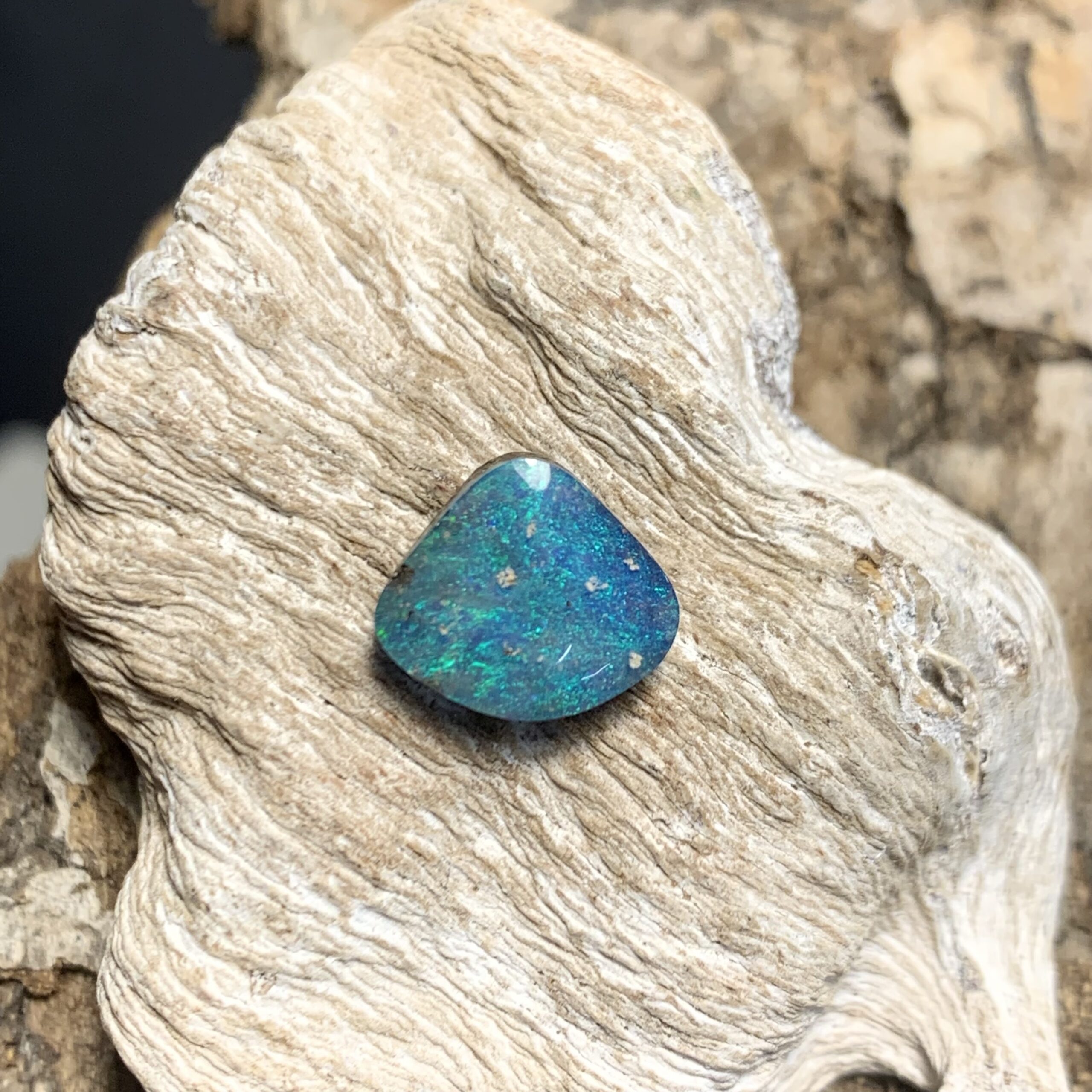 Türkiser Opal in Muschelform