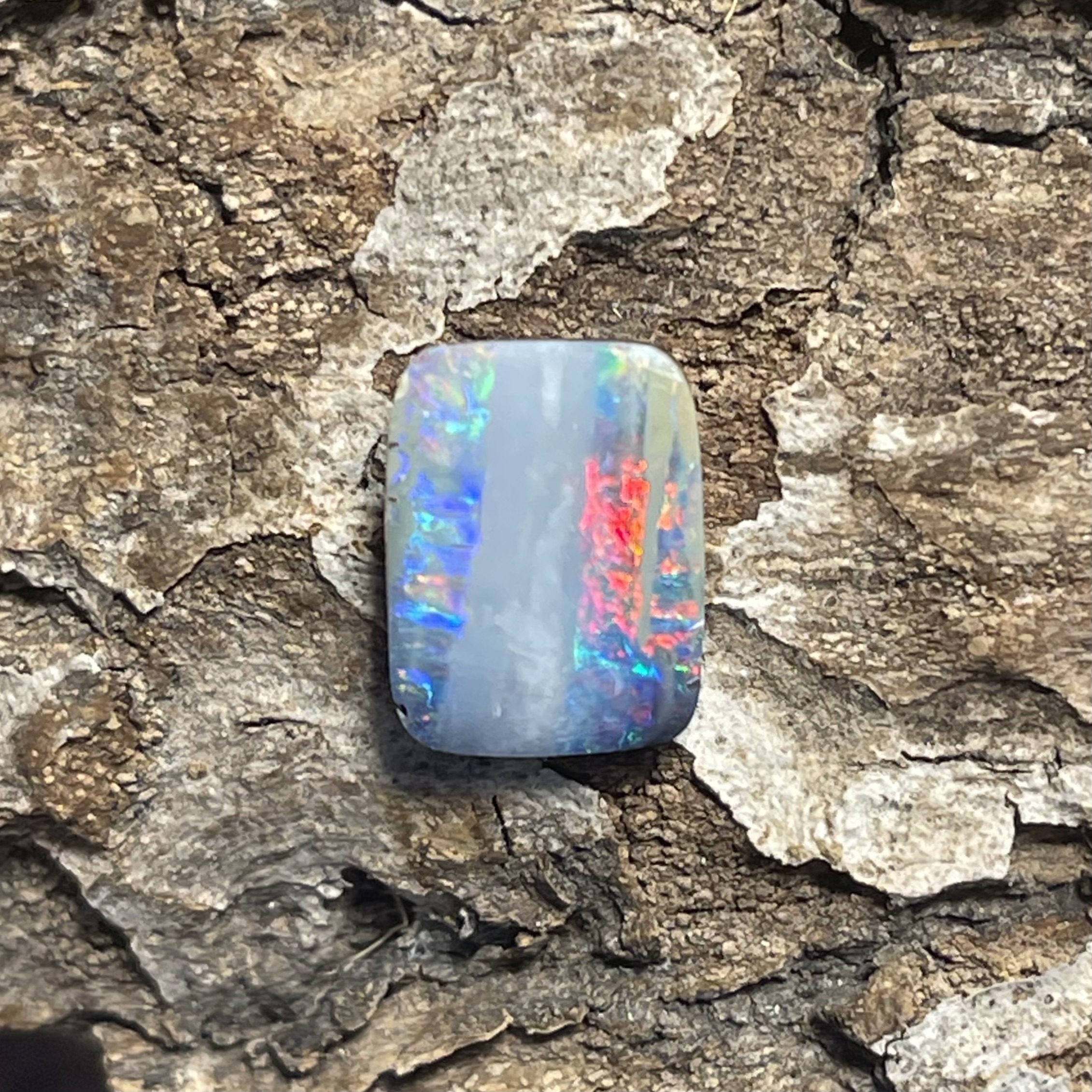 Boulder Opal mit regenbogenfarbigen Streifen